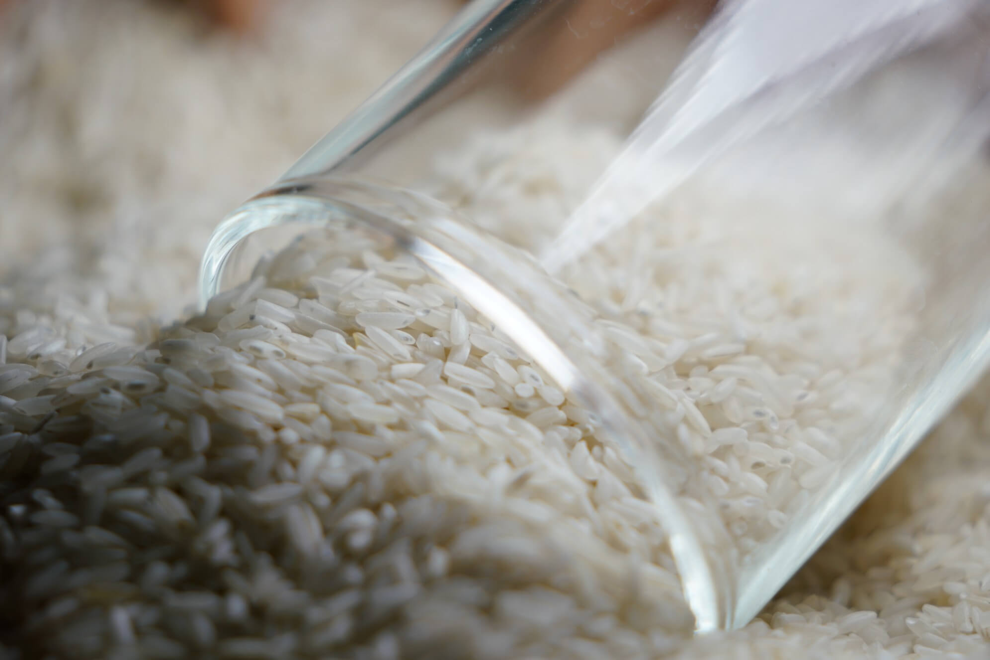 Рис бывает. Ест рис. Самый полезный рис. Рис крупный белый. Можно есть рис в пост